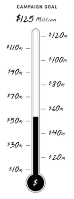 Campaign Goal